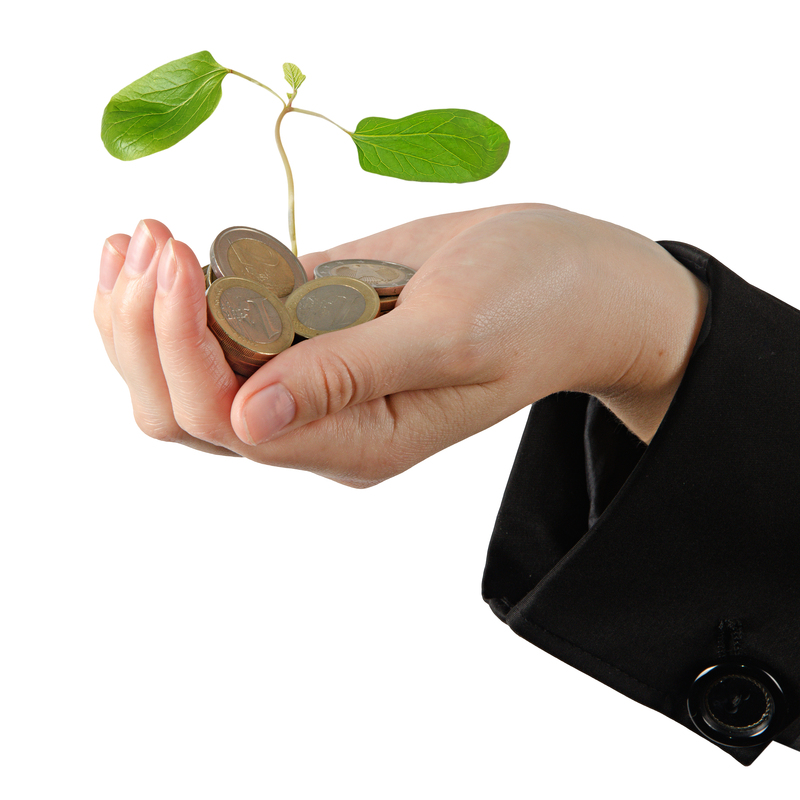 Sustentabilidad y sostenibilidad